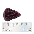 thumbnail image 5 of Nature's Way Sambucus Elderberry Immune Gummies, 120 ct., 5 of 11