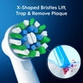 thumbnail image 5 of Oral-B CrossAction Electric Toothbrush Replacement Brush Heads, 10 ct., 5 of 7