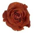thumbnail image 1 of Member's Mark Farm Fresh Velvet Roses, choose color and stem count, 1 of 9