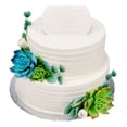 thumbnail image 1 of Member's Mark Succulents with Texture Two-Tier Cake, 1 of 1