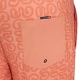 thumbnail image 24 of Quiksilver Men's Swim Trunks, 24 of 24