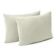 thumbnail image 1 of HGTV 2-Pack Fun Cloud Bed Pillow, 20" x 28", 1 of 5