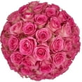 thumbnail image 1 of Member's Mark Roses, choose color variety and stem count, 1 of 9