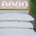thumbnail image 2 of Imaginarium 2-Pack Memory Foam Huggy Pillow, 2 of 7