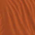 thumbnail image 3 of Logo Brands Texas Longhorns Bed-In-A-Bag Set, 3 of 5