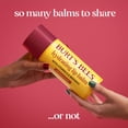 thumbnail image 6 of Burt's Bees Moisturizing Lip Balm Mega Balm Holiday Gift Pack, 10 tubes, 6 of 8