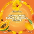 thumbnail image 4 of Air Wick Plug In Scented Oil Air Freshener, Hawaii Exotic Papaya & Hibiscus Flower, 2 warmers + 8 refills, 4 of 11