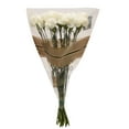 thumbnail image 2 of Member's Mark Carnations, Assorted, color and variety may vary, 2 of 5