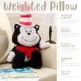 thumbnail image 4 of Weighted 3lb. Licensed Character Plush Pillow, 4 of 7