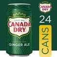 thumbnail image 4 of Canada Dry Ginger Ale Soda 12 fl. oz., 24 pk., 4 of 13