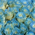 thumbnail image 5 of Member's Mark Illusion Roses, 96 stems, Choose color variety, 5 of 7