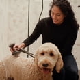 thumbnail image 9 of PawSpa DogWash 11-Setting Indoor / Outdoor Pet Washing Kit, 9 of 11