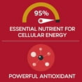 thumbnail image 3 of Qunol Mega CoQ10 Ubiquinol Softgels, 100 mg 120 ct., 3 of 4