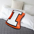 thumbnail image 2 of Logo Brands Illinois Fighting Illini XL Puff Pillow, 2 of 5