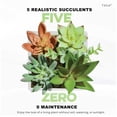 thumbnail image 5 of Tech Squared Power Bloom Charging Decorative Plant with Built-in retractable USB-C cable, 5 of 8