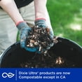 thumbnail image 4 of Dixie Ultra Disposable Paper Platters, 12.5" x 10", 75 ct., 4 of 6