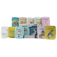 thumbnail image 3 of Me Reader Jr.: Peter Rabbit, Sound Book, 3 of 3