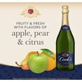 thumbnail image 2 of Cook's California Champagne Brut White Sparkling Wine, 1.5 L, 2 of 8