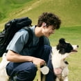 thumbnail image 6 of Shokz OpenFit Air 2 Open-Ear True Wireless Earbuds, 6 of 7