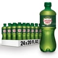 thumbnail image 1 of Canada Dry Ginger Ale Soda, 20 fl. oz., 24 pk., 1 of 10