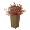 thumbnail image 3 of Member Mark 32" Pre-Lit Harvest Berry Topiary, 3 of 4
