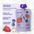 thumbnail image 4 of Brainiac Fruit and Oat Smoothie Pouches, 3.2 oz., 20 ct., 4 of 8