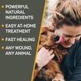 thumbnail image 3 of SILVER HONEY HOT SPOT & WOUND CARE OINTMENT 2OZ, 3 of 4