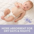 thumbnail image 7 of Member's Mark Premium Baby Diapers, Sizes Newborn - 8, 7 of 16