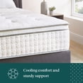 thumbnail image 9 of ZINUS Night Therapy 12” Medium Firm Euro Top Hybrid Mattress, 9 of 10
