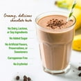 thumbnail image 7 of Orgain Organic 21g Plant-Based Protein Powder, Creamy Chocolate Fudge 2.74 lbs., 7 of 8