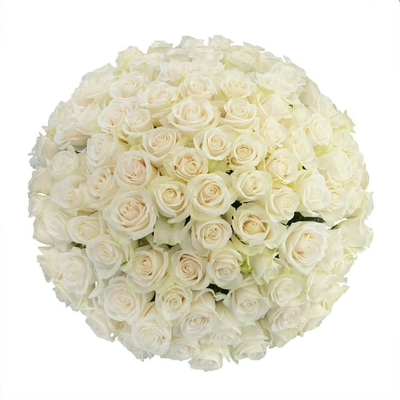 Member's Mark Ecuadorian Premium Roses, choose color variety and stem count