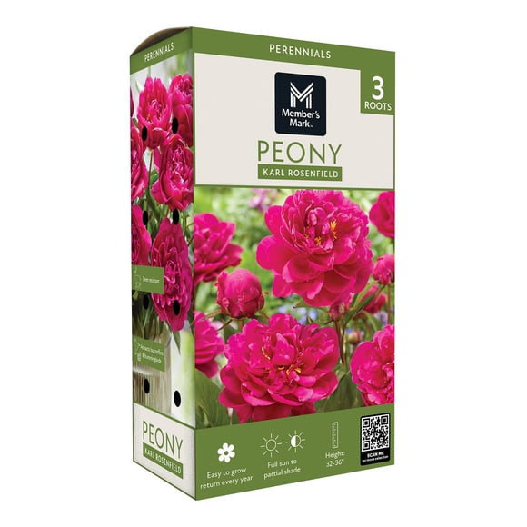 Member's Mark Peony Karl Rosenfield Dormant Bulbs, 3pk