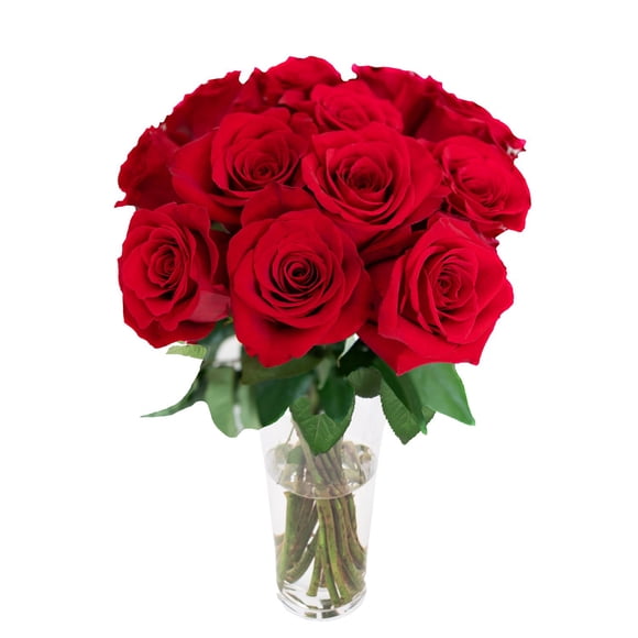 Member's Mark Je T'aime Mother's Day Red Rose Vase Arrangement, 12 stems