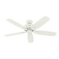 thumbnail image 6 of Hunter 52" Amberlin Indoor Ceiling Fan with LED Light and Pull Chain, 6 of 10