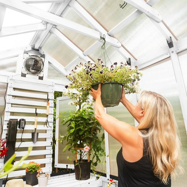Backyard Discovery 9' x 6' Traditional Cedar Greenhouse in White