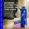 thumbnail image 8 of Propel Powder Variety Pack, 0.08 oz., 40 pk., 8 of 11