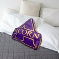 thumbnail image 2 of Logo Brands Alcorn State Braves XL Puff Pillow, 2 of 5