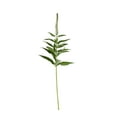 thumbnail image 2 of Member's Mark Veronica Flower, 100 stems, choose color, 2 of 4