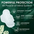 thumbnail image 4 of L. Ultra Thin Organic Cotton Regular Pads with Wings, 112 ct., 4 of 8