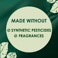 thumbnail image 4 of L. Ultra Thin Organic Cotton Pads with Wings, Super, 96 ct., 4 of 10