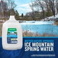 thumbnail image 4 of Ice Mountain 100% Natural Spring Water 1 gal., 6 pk., 4 of 11