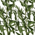 thumbnail image 2 of Member's Mark Eucalyptus Willow 40 stems, 2 of 2