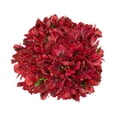thumbnail image 4 of Member's Mark Alstroemeria, 10 stems, color and variety may vary, 4 of 7