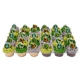 thumbnail image 1 of Jurassic World Cupcakes, 30 ct., 1 of 6