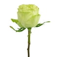 thumbnail image 3 of Member's Mark Ecuadorian Premium Roses, choose color variety and stem count, 3 of 7