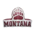 thumbnail image 1 of Logo Brands Montana Grizzlies Pre-Lit 7’x10’ Team Inflatable, 1 of 6