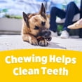thumbnail image 8 of Purina Busy with Beggin’ Twist’d Adult Dog Chew Bone Treats - 18 ct. Pouch, 8 of 11