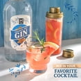 thumbnail image 3 of Member's Mark London Dry Gin, 1.75 L, 3 of 4