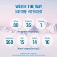 thumbnail image 7 of evian Natural Spring Bottled Water 1L., 12 pk., 7 of 16