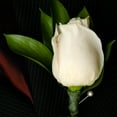 thumbnail image 5 of Member's Mark Wedding Collection White, Choose piece count, 5 of 7